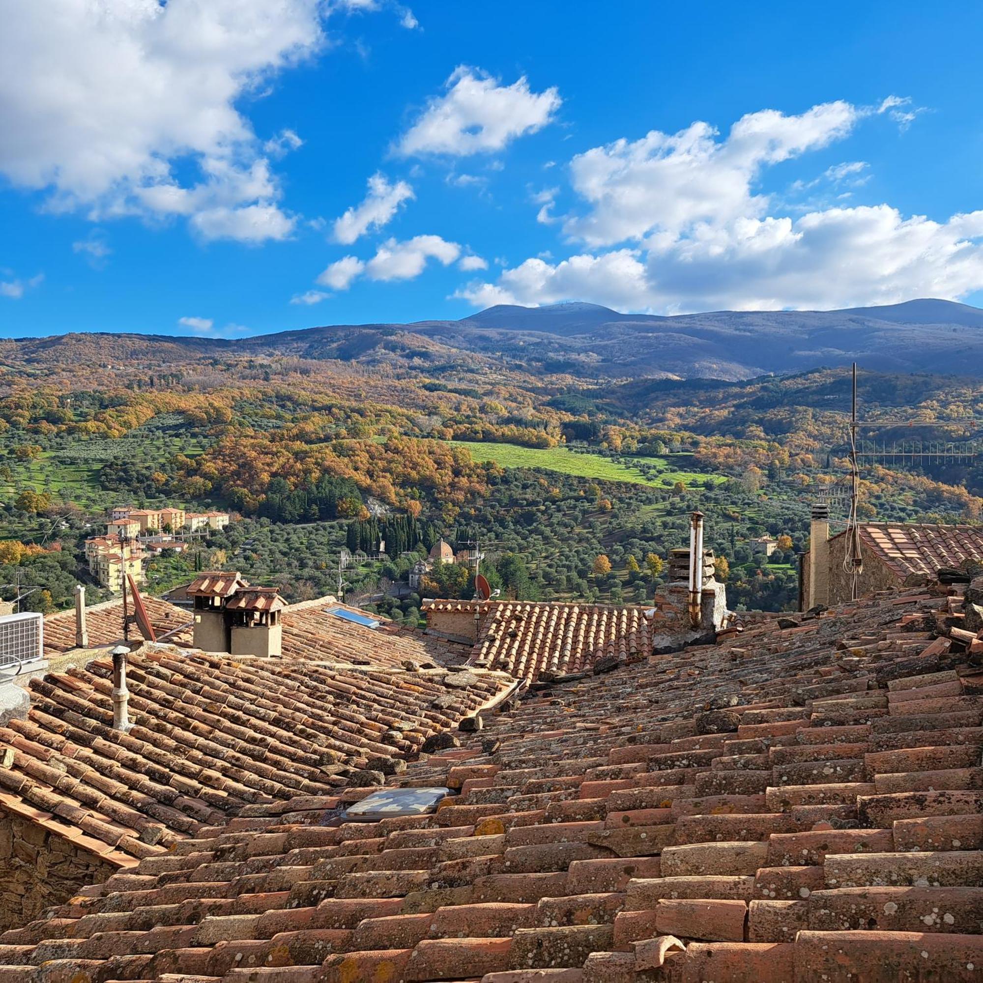 Antica Abitazione Con Vista Montagna Casa Norma Apartment Seggiano Bagian luar foto